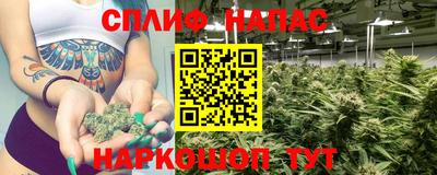 гашик Обнинск