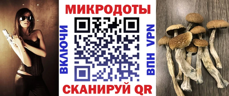 Псилоцибиновые грибы прущие грибы хочу omg ссылки Элиста