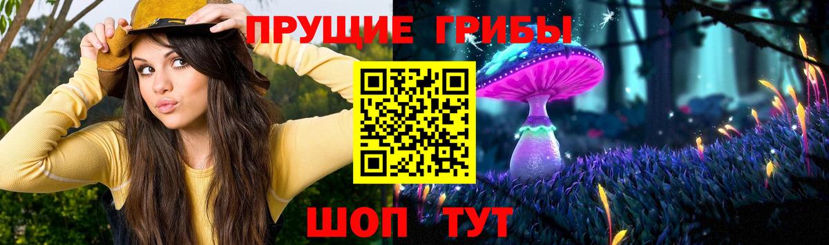 Псилоцибиновые грибы мухоморы Элиста