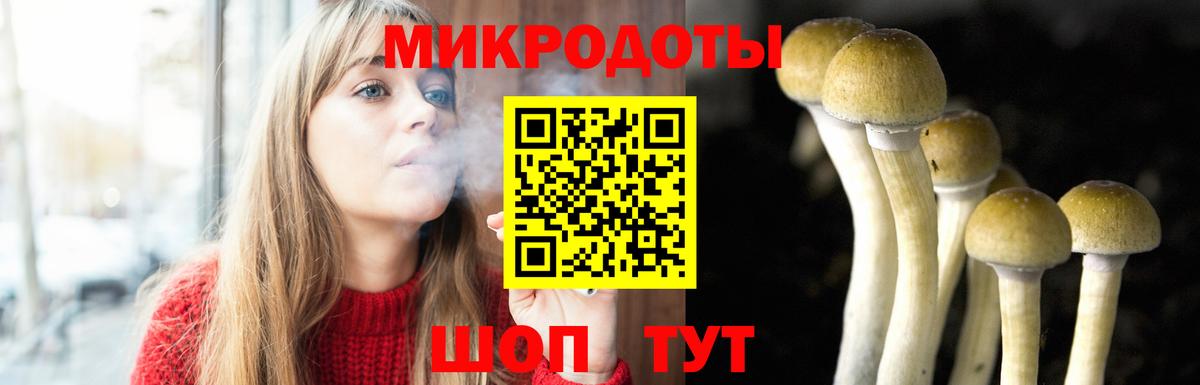 Галлюциногенные грибы GOLDEN TEACHER  Псилоцибиновые грибы Magic Shrooms  Вход с VPN  Элиста 
